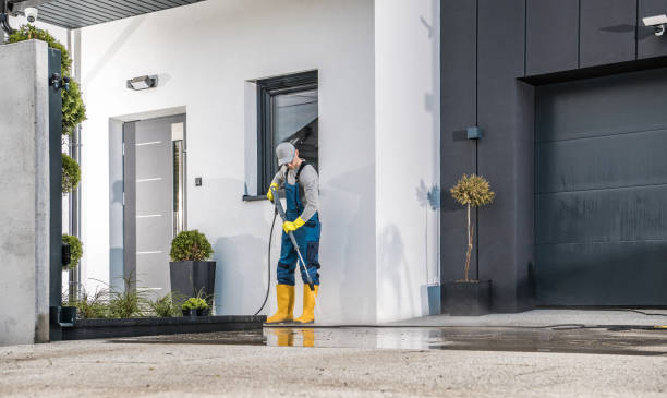 Best Driveway Cleaning and Restoration in Oakland, TN